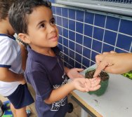 DIA DE PLANTAR RABANETES COM O CMEI REGIONAL SILVESTRE - PEQUENOS HORTICULTORES NO PROJETO COLORIR SUSTENTÁVEL